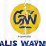 Whalom Wash Decorative Favicon Element